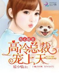 《甜心暖妻:高冷總裁寵上天》