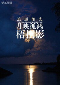 《月映孤鴻梧桐影/小交警,愛的就是你》
