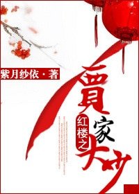 《(BL/紅樓同人)紅樓之賈家大少》